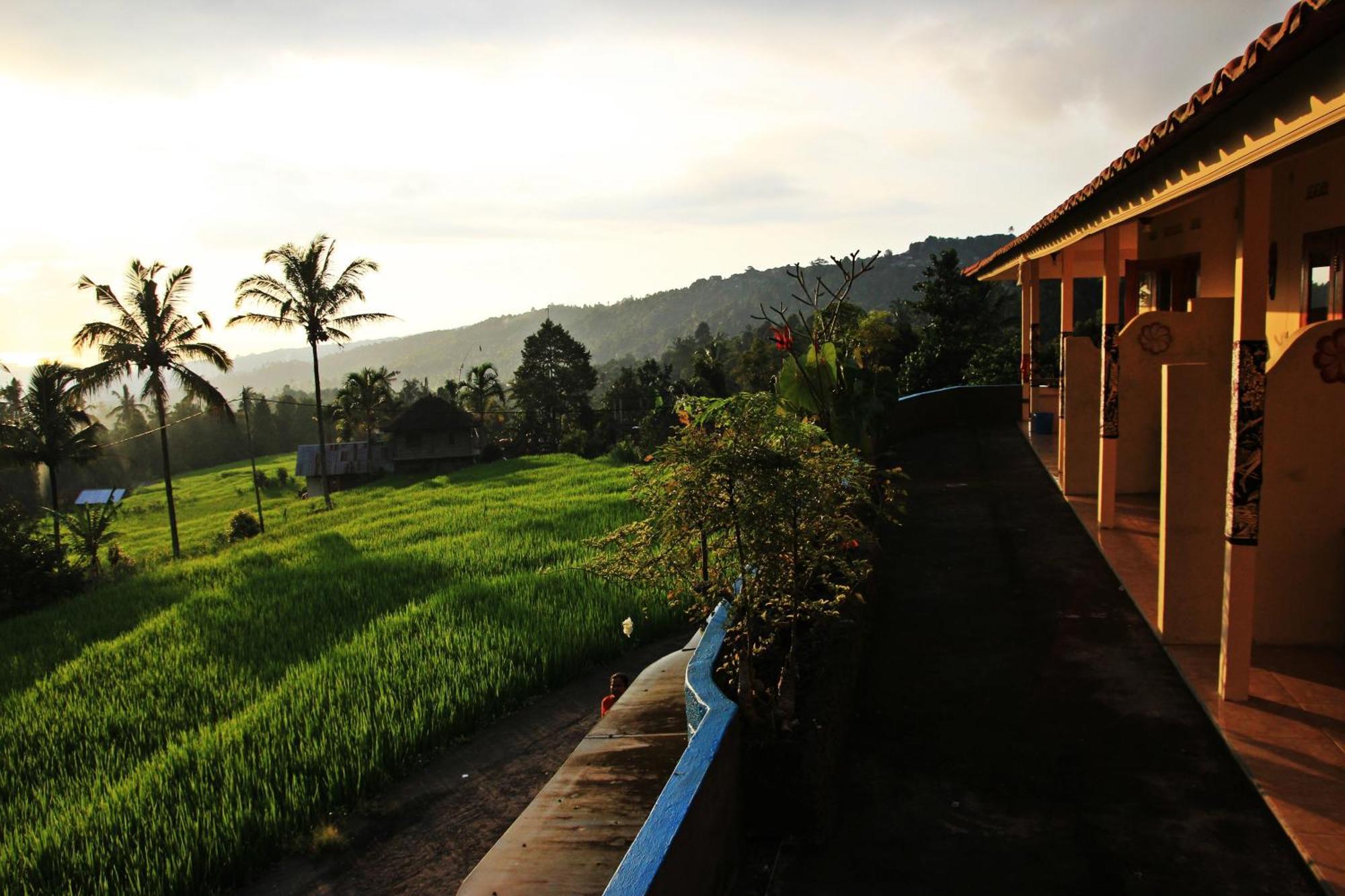 Gangga Homestay Munduk Exteriér fotografie