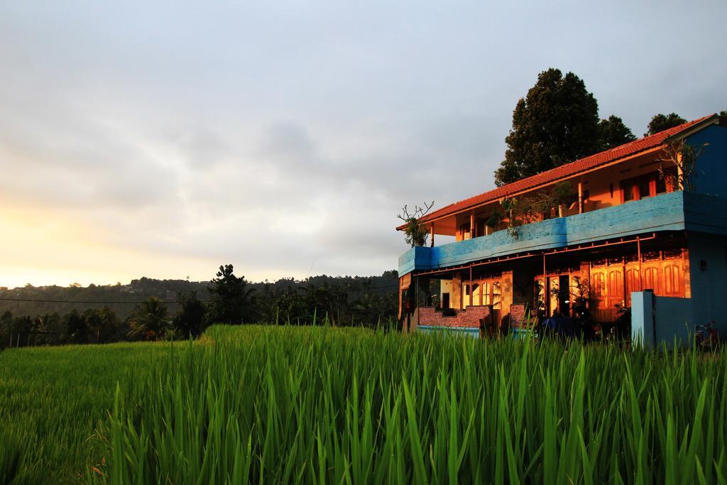 Gangga Homestay Munduk Exteriér fotografie