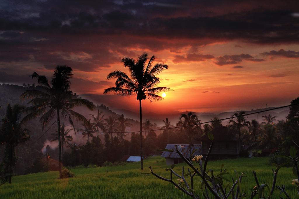 Gangga Homestay Munduk Exteriér fotografie