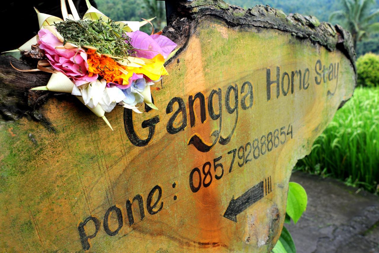 Gangga Homestay Munduk Exteriér fotografie
